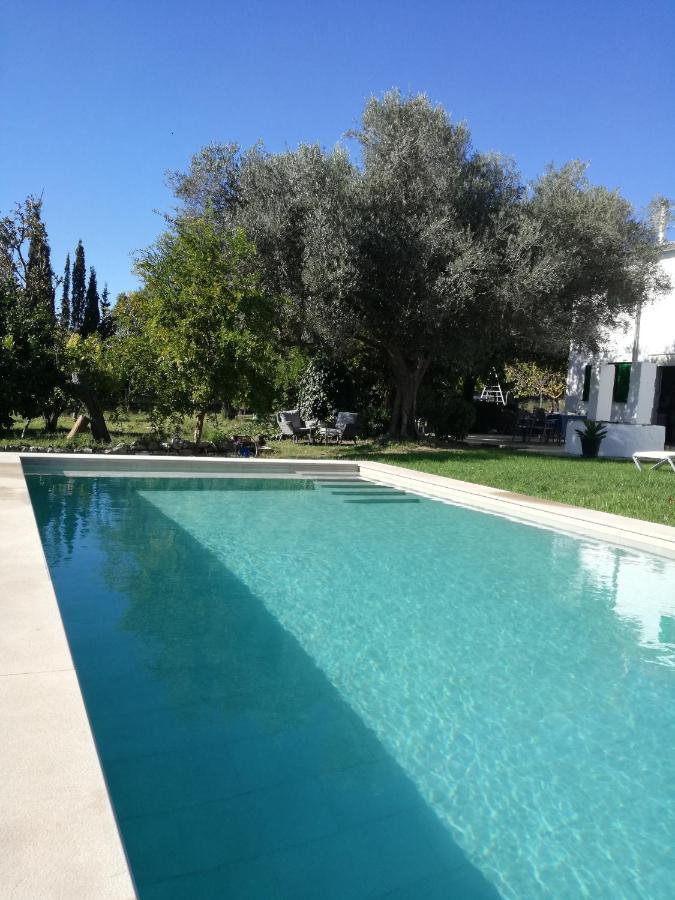 Holiday home Dameto Binissalem