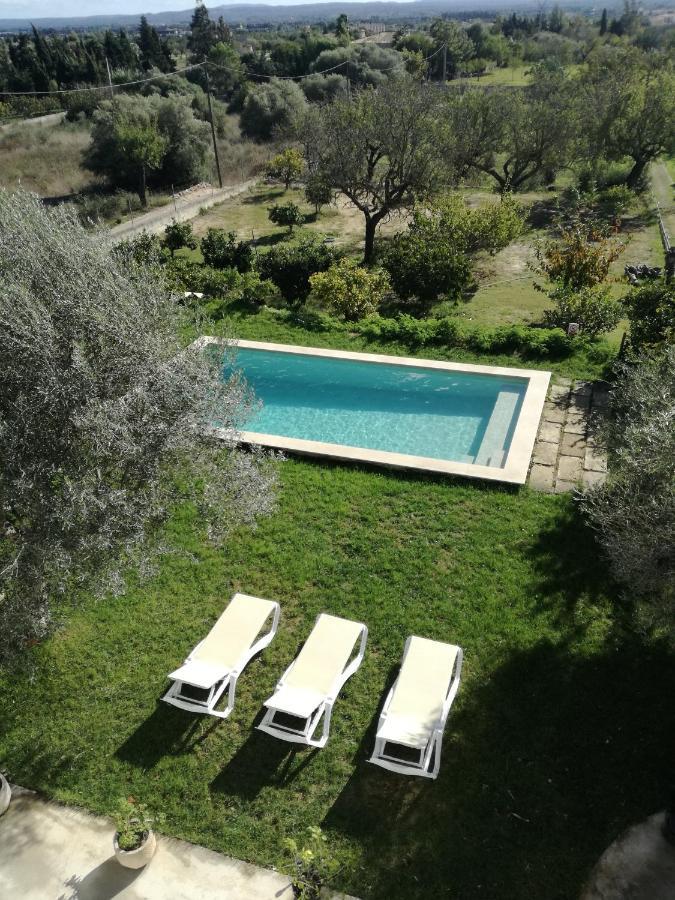 Dameto Holiday home *